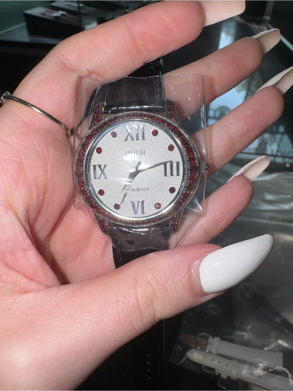 Ecclissi Facets Silver Watch Red Garnet Crystal Bezel Textured Dial Black Band